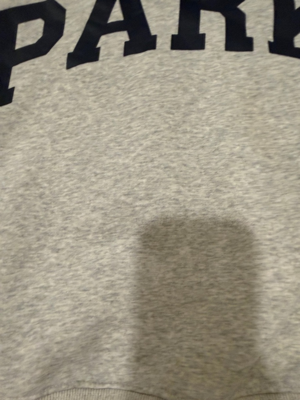 Parker Gray Crewneck Sweatshirt with Navy Lettering : stained - Picture 4 of 9